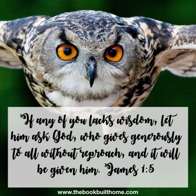 O is for Owl Wisdom.001